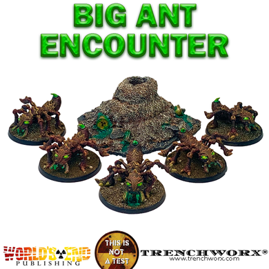 Big Ant Encounter