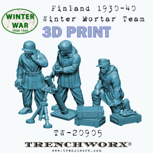 Load image into Gallery viewer, Finland 1930-40 Winter Infantry Army