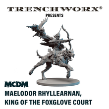 Load image into Gallery viewer, MCDM - Maelodor Rhyllearnan, King of the Foxglove Court