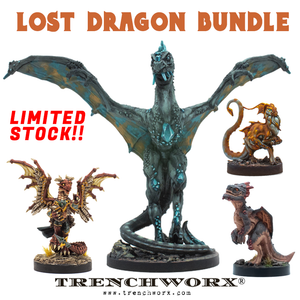 MCDM - Lost Dragon Bundle